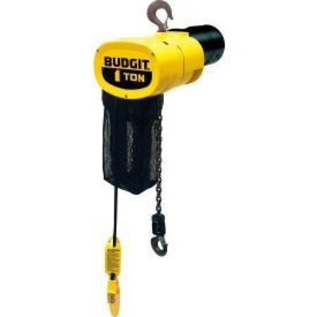 CM CM® Budgit 1/4 Ton, Electric Chain Hoist W/ Chain Container, 10' Lift, 16 FPM, 115/230V BEHC2516